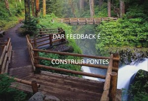 feed back pontes